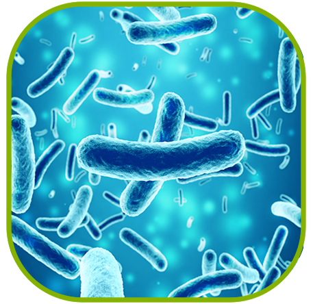 Microbial Impurities